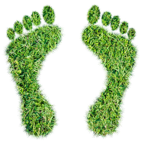 environment-carbon-footprint
